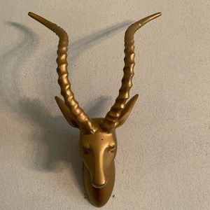 Antelope head wall hanging.